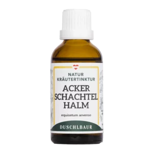 Ackerschachtelhalm Tinktur - Zinnkraut - equisetum arvense